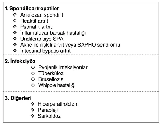 Tablo 6: Sakroiliit yapan nedenler  1. Spondiloartropatiler 