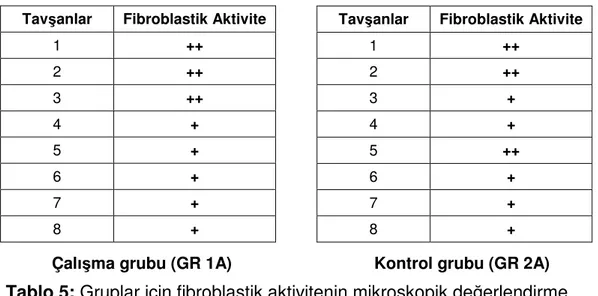 Tablo 5: Gruplar için fibroblastik aktivitenin mikroskopik değerlendirme                                  sonuçları  (Yok=0, Minimal=+, Belirgin=++)
