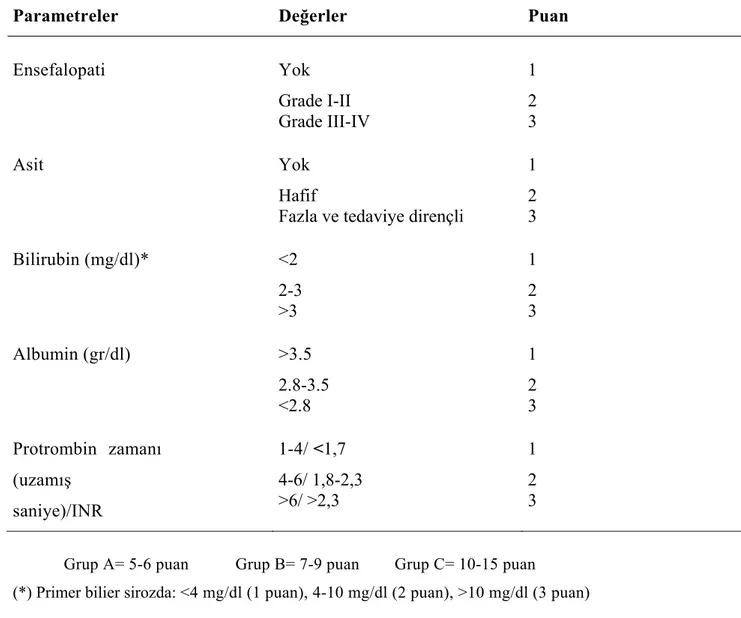 Tablo 2.  Modifiye &#34;Child-Pughʺ sınıflaması 