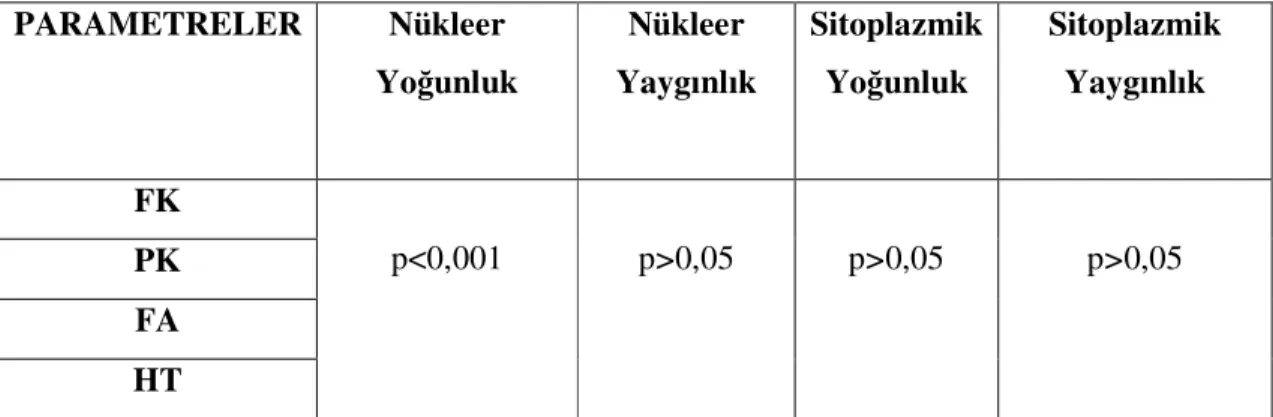 Tablo 11: Olguların nükleer ve sitoplazmik yoğunluk ve yaygınlık açısından  karşılaştırılması 