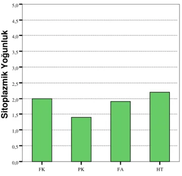 Grafik 3. Olgularda sitoplazmik boyanma yoğunluk ortalamalarının karşılaştırılması 