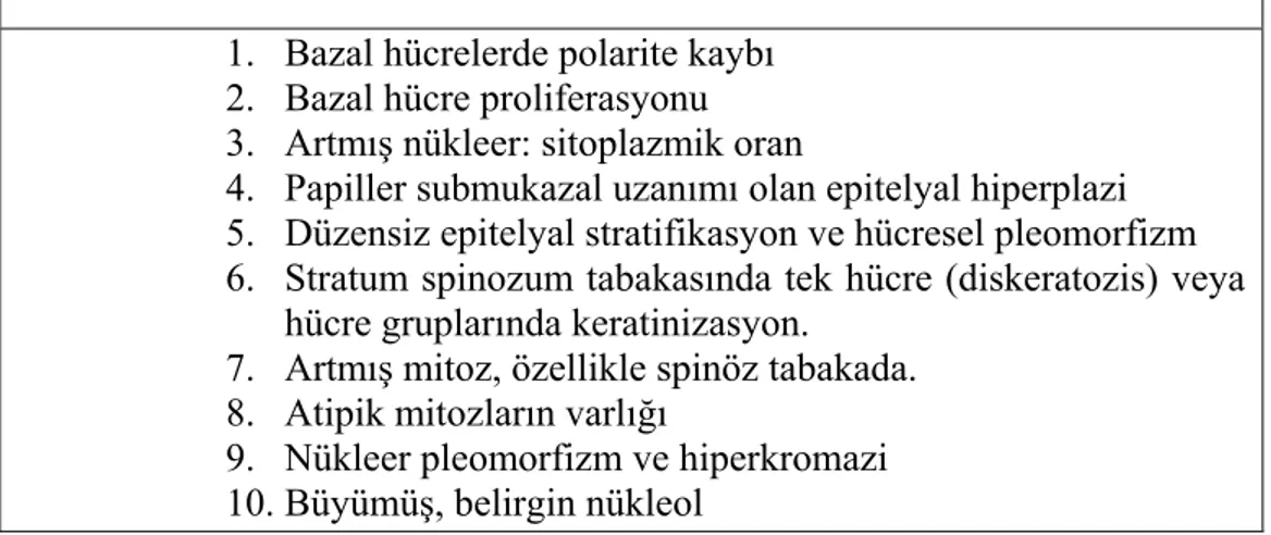 Tablo 2. Prekanseröz Epitelyal Değişikliklerde Histopatolojik Parametreler  (WHO Klasifikasyonu) 