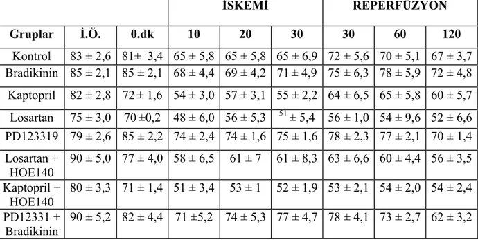 Tablo 1: Bradikinin, Kaptopril, Losartan, PD123319, Losartan+HOE140, Kaptopril+HOE140 