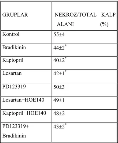 Tablo 3: Bradikinin, Kaptopril, Losartan, PD123319, Losartan+HOE140, Kaptopril+HOE140 