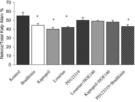 Şekil 3: Bradikinin, Kaptopril, Losartan, PD123319, Losartan+HOE140, Kaptopril+HOE140 