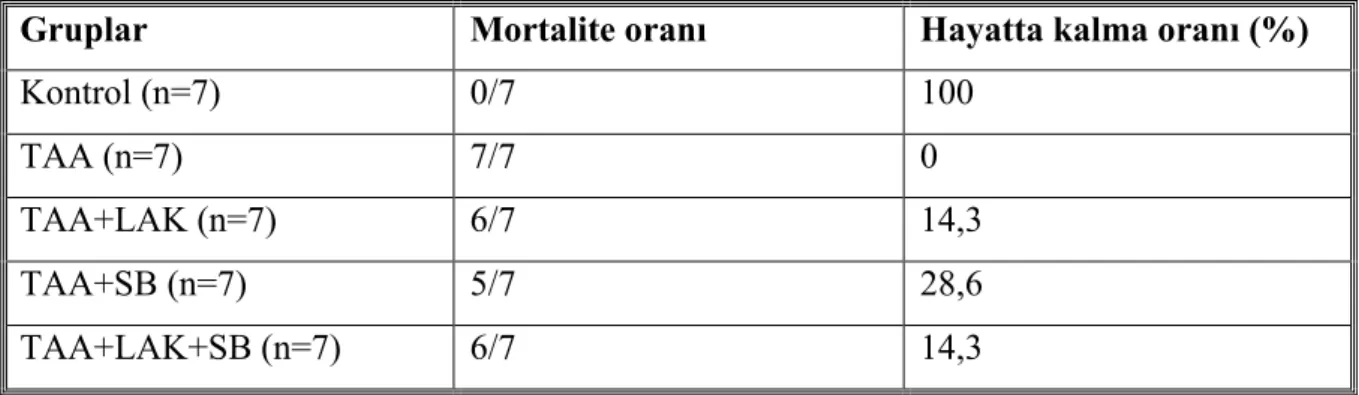 Tablo 7 :  Sıçanların mortalite ve hayatta kalma oranlarına göre gruplara dağılımı 