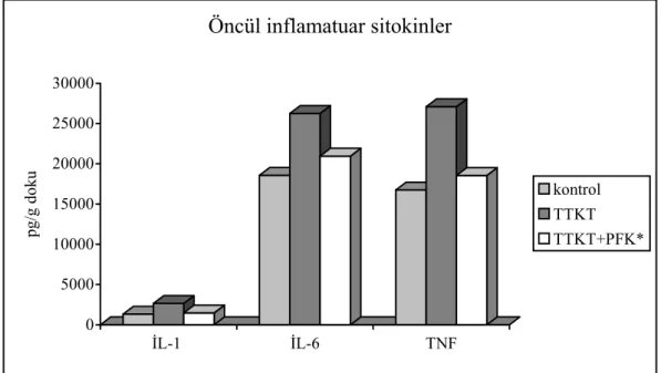 Şekil 6: Grupların doku öncül inflamatuar sitokin seviyeleri  