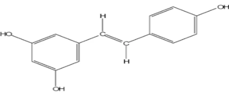 Şekil 1. Resveratrolün yapısı (trans-3,5,4’- trihydroxystilbene) 