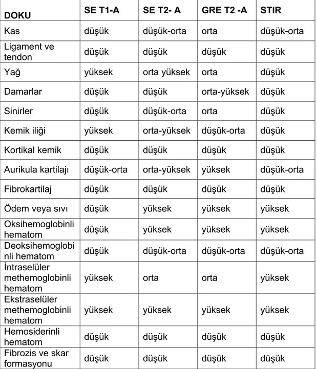 Tablo 3.Fizyolojik dokularda MR sinyal özellikleri (33). 