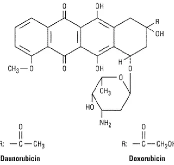 Şekil 3: Doksorubisinin moleküler yapısı (17).  