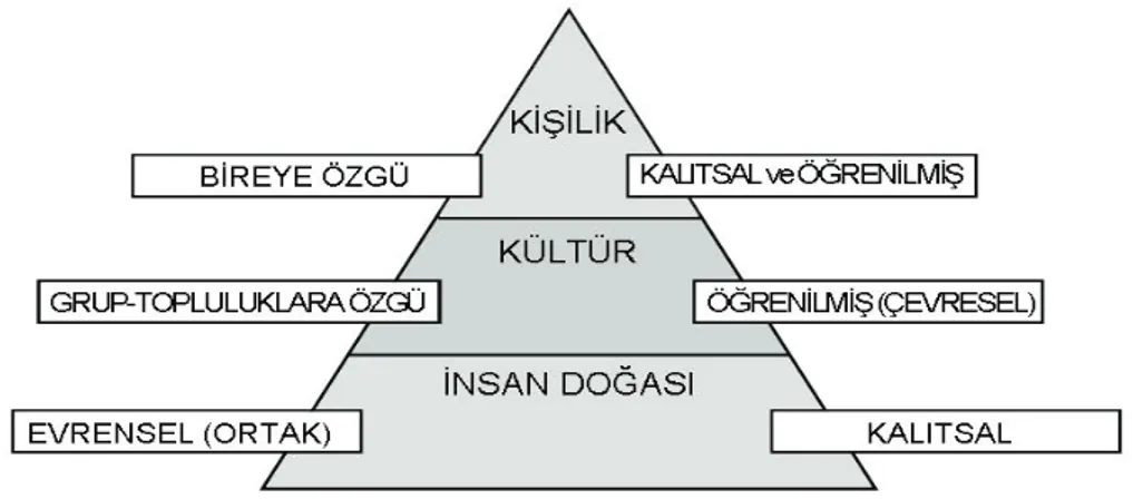 Şekil 6. Zihinsel Programlamada Benzersiz Olmanın Üç Düzeyi (Kaynak. Hofstede,  2001)