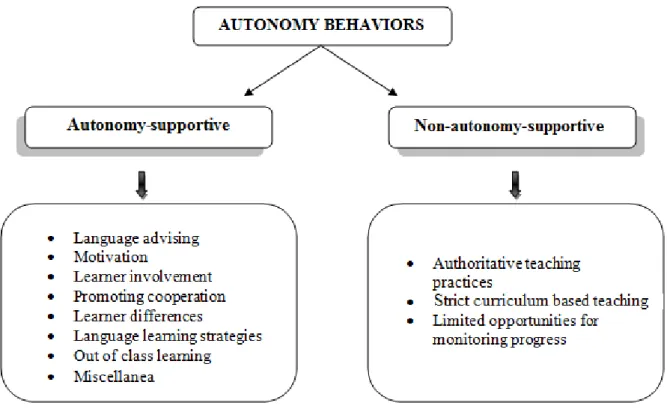 Figure 3. Emerging categories and themes under “Autonomy Behaviors” 