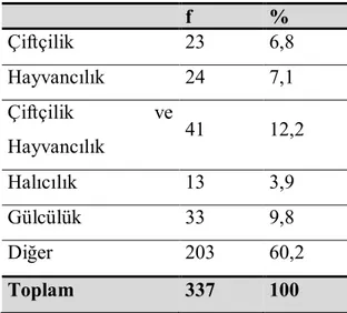 Tablo 13: Katılımcıların Sürdürdükleri Ekonomik Faaliyetlere Göre Dağılımı     f  %  Çiftçilik   23  6,8     Hayvancılık  24  7,1     Çiftçilik  ve  Hayvancılık  41  12,2     Halıcılık  13  3,9     Gülcülük  33  9,8     Diğer   203  60,2     Toplam  337  1