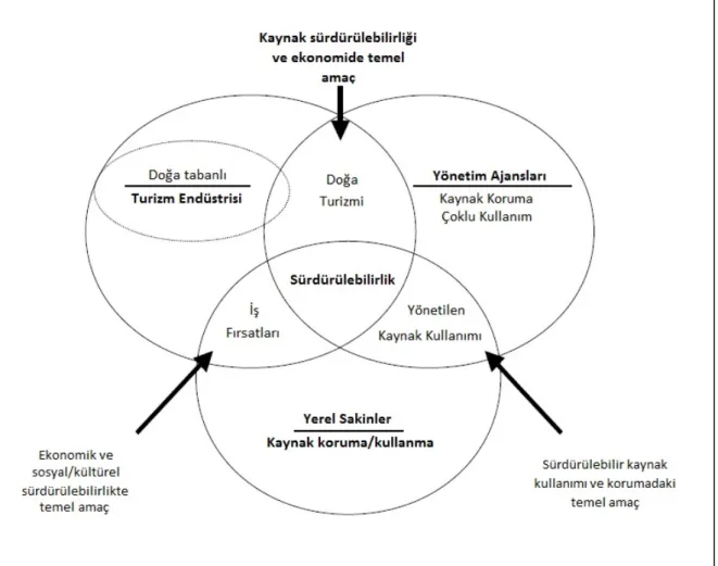 Şekil  1:  Turizm  kalkınmasındaki  temel  katılımlarla  bunların  sosyal  fırsatlar,  doğal  kaynaklar ve ekonomik sürdürülebilirlikteki ortak amaçları  