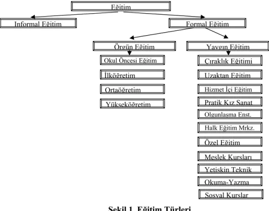 Şekil 1. Eğitim Türleri 