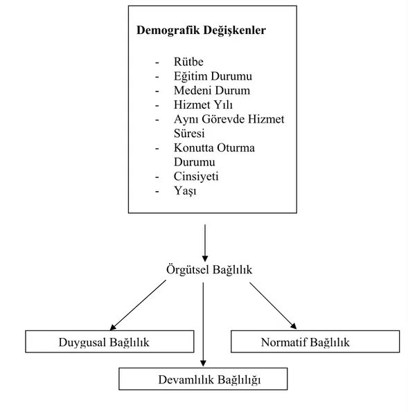 Şekil 3: Örgütsel Bağlılık Faktörleri İle Demografik Özellikler  