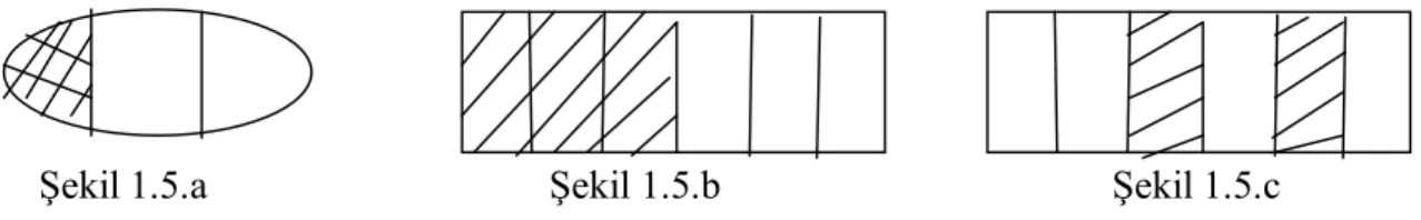 Şekil 1.5 . Kesirlerde Kısıtlı Algılamaya Bir Örnek 