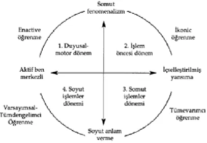 ġekil 3: Piaget’ nin Öğrenme ve BiliĢsel GeliĢim Modeli (Kolb, 1894: 25). 