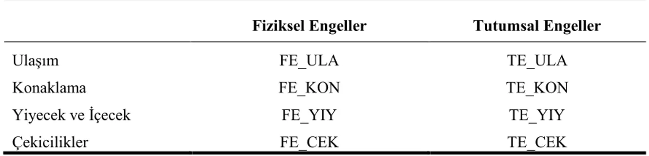 Tablo 13. Karşılaşılan Engeller için Yeniden Oluşturulan Değişkenler 