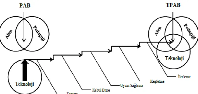 Şekil 2.6 Niess vd. (2009a)’nin TPAB gelişim modeli. “Niess, M. L., Ronau, R. N., Shafer,  K