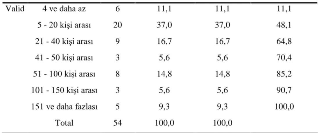 Tablo  13'de  görüldüğü  üzere  işletmelerin  %35,2'sini  limited  şirketler,  %25,9'unu  anonim  şirketler, %13,0’ünü aile şirketi olup,  kalan %25,9'luk kısmını ise şahıs, aile, anonim ve  limited şirketlerin karışımından oluşmaktadır