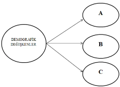 Şekil 3. Araştırmanın modeli 