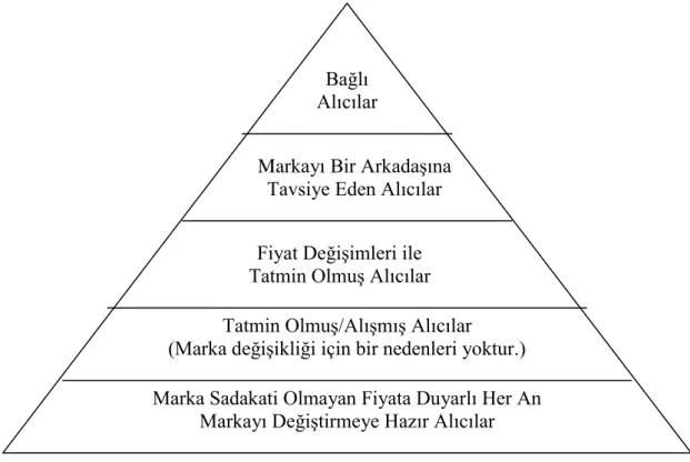 Şekil 5 Sadakat Seviyeleri 