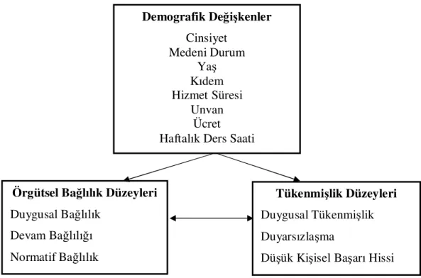 Şekil 4: Araştırma Modeli    Demografik Değişkenler Cinsiyet Medeni Durum Yaş Kıdem Hizmet Süresi Unvan Ücret Haftalık Ders Saati 