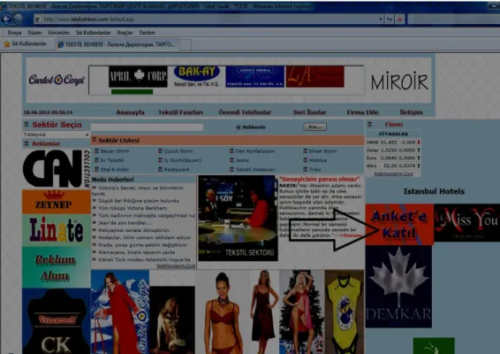 Şekil 7: Web Sitesinde Anket Formunun Yayınlanması 