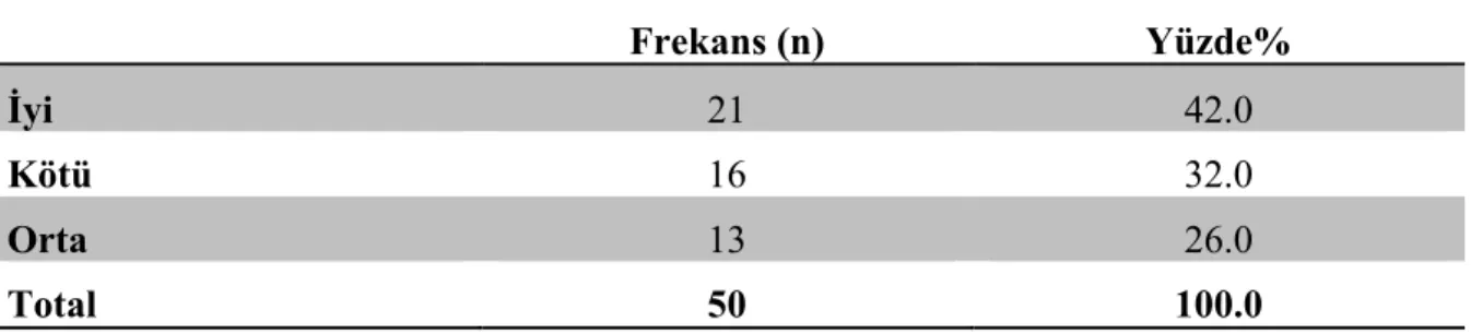 Tablo 14.  Kullanılan Program Düzeyi – Freehand MX 