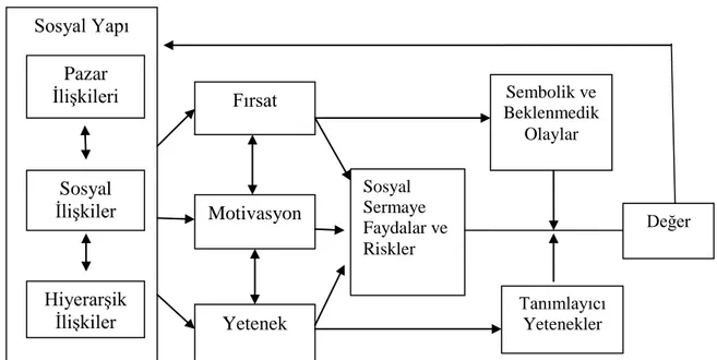 ġekil  1.  Sosyal  Sermayenin  kavramsal  bir  modeli(Adler  ve  Kwon‟dan  aktaran  Arslan,2012:232)  Sosyal Yapı  Pazar  ĠliĢkileri  Sosyal  ĠliĢkiler  HiyerarĢik  ĠliĢkiler  Fırsat  Motivasyon  Yetenek  Sosyal  Sermaye  Faydalar ve Riskler  Sembolik ve  