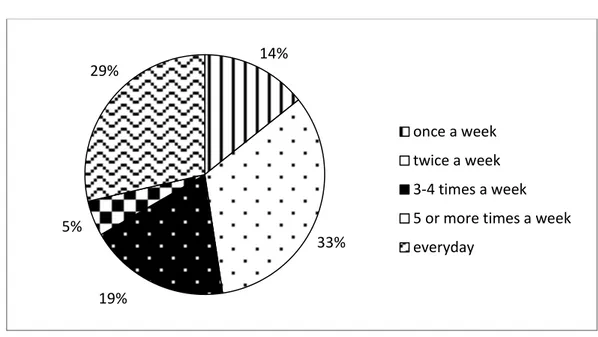 Figure 4.1 Frequency of the Subjects’ Computer Use 