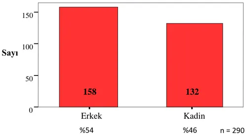 ġekil 1. Öğretim Elemanlarının Cinsiyeti 