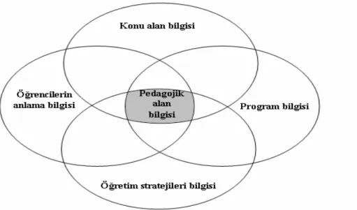 Şekil 2.1: Çalışmadaki Pedagojik Alan Bilgisinin Çatısı 