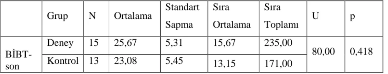 Tablo 19: Deney ve Kontrol Grubunun B ĐBT Sontest Verileri 
