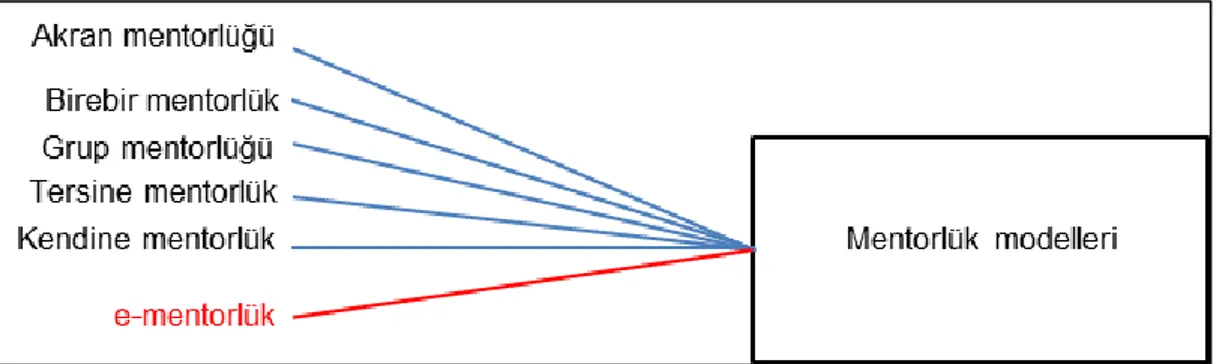 Şekil 4. Mentorluk modelleri 