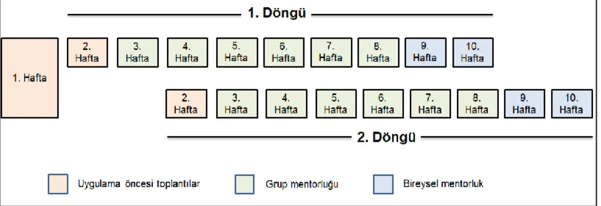 Şekil 16. Uygulanan mentorluk içeriği 