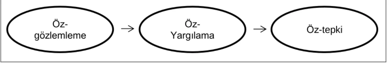 Şekil 4. Öz-düzenleme Sistemi 