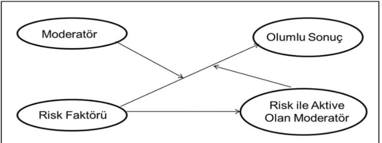 Şekil 4. Moderatör modeller (Masten, 2014b). 