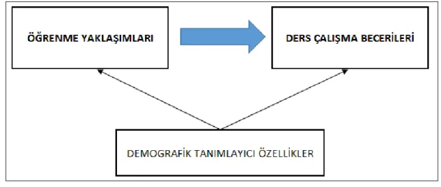 Şekil 1. Araştırma modeli 