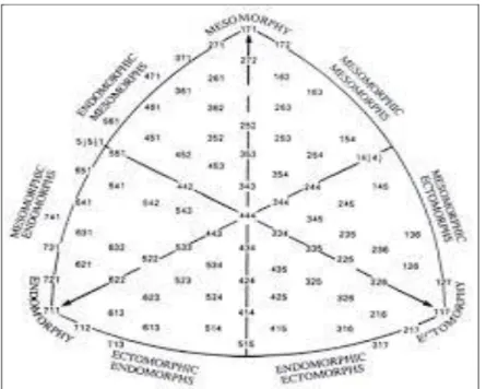 Şekil 2. Somatotip diyagramı 