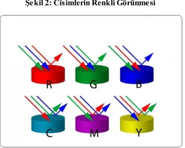 Şekil 2: Cisimlerin Renkli Görünmesi 