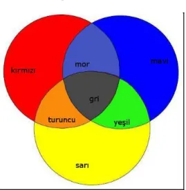 Şekil 5: Pigment Renkleri Şeması 