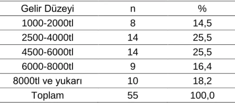 Tablo 5. Akademi Tenis Ligine Katılan Oyuncuların Gelir Düzeylerine Göre Frekans  Dağılımları  Gelir Düzeyi  n  %  1000-2000tl  8  14,5  2500-4000tl  14  25,5  4500-6000tl  14  25,5  6000-8000tl  9  16,4  8000tl ve yukarı  10  18,2  Toplam  55  100,0 
