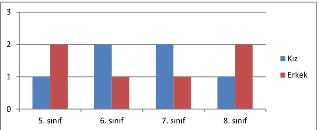 Şekil  2.  Çalışma  grubunda  yer  alan  öğrencilerin  sınıf  düzeyi  ve  cinsiyete  göre  dağılımı 