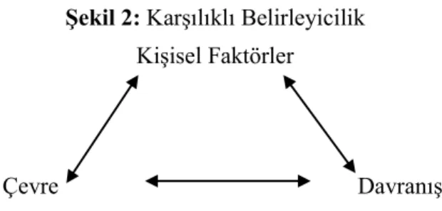 Şekil 2: Karşılıklı Belirleyicilik  