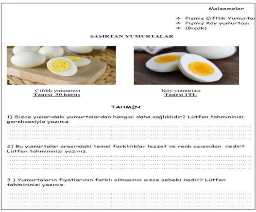 Şekil 4. Şaşırtan yumurtalar TGA çalışma yaprağının tahmin bölümü 