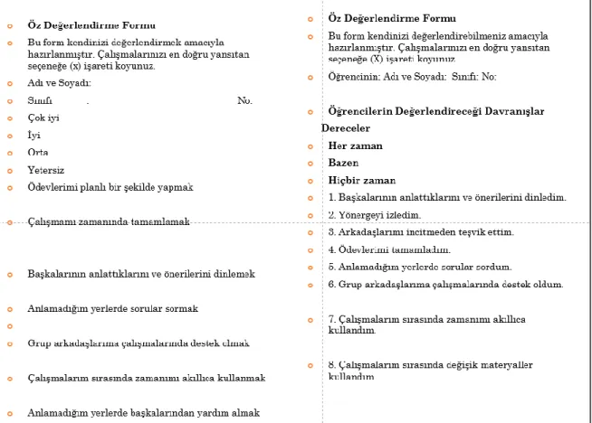 Şekil 1. Öz değerlendirme formu örneği 