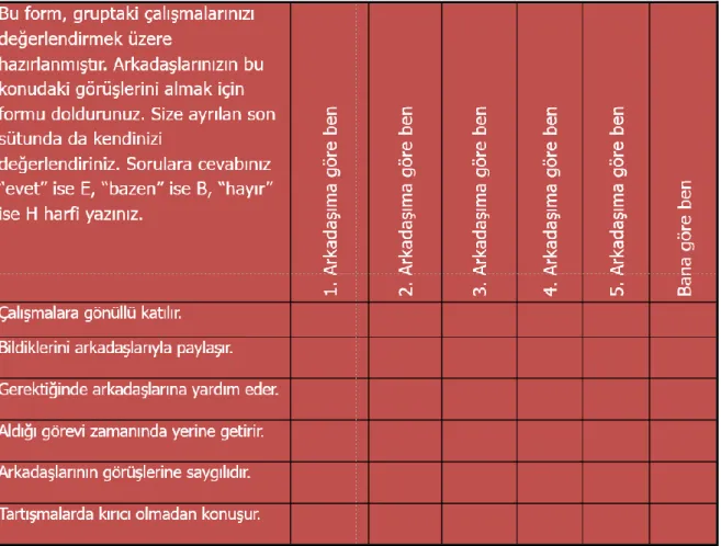 Şekil 2. Akran değerlendirme örneği 