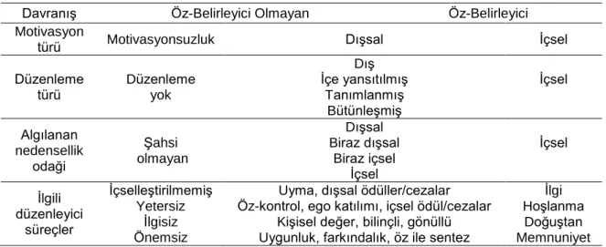 Tablo 1. Motivasyon Türleri 